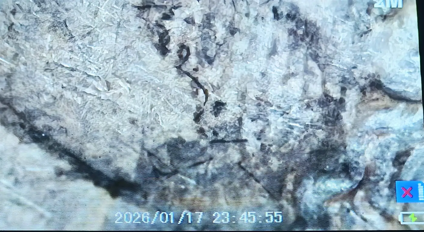 1882-O-Morgan-Dollar-Strike-Thru-Or-Die-Clash-Error?